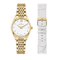 Ladies' Watch Philip Watch ROMA